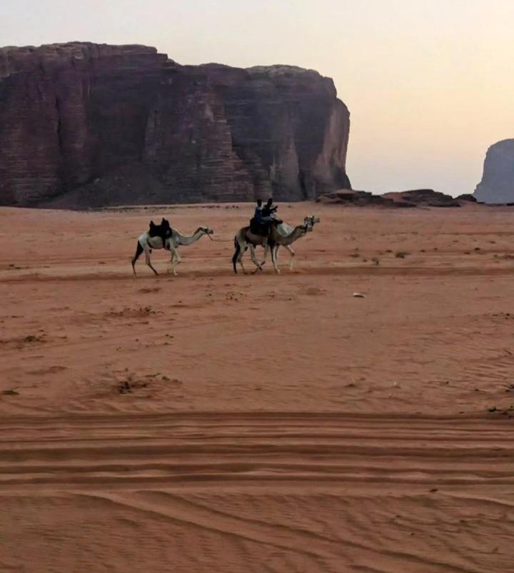 Wadi Rum Secrets Camp Exterior foto